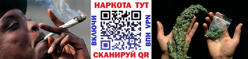 Альфа ПВП Вытегра