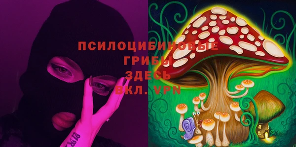 стафф Кинешма