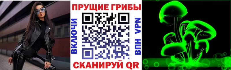 Купить закладки  Вытегра  Псилоцибиновые грибы Cubensis 