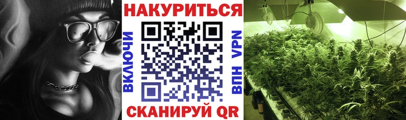 Бошки Шишки индика  Купить где  Вытегра 